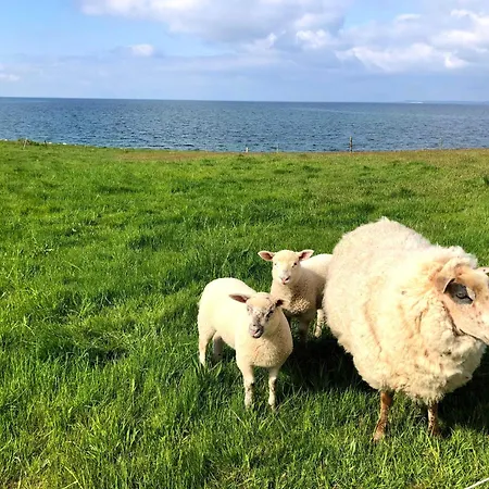 Funen With Fantastic Sea View, Holiday home